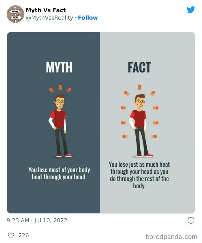 “Boost Your Knowledge”: 50 “Facts” That Are Actually Not True, Shared By This Twitter Account