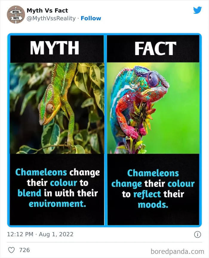“Boost Your Knowledge”: 50 “Facts” That Are Actually Not True, Shared By This Twitter Account