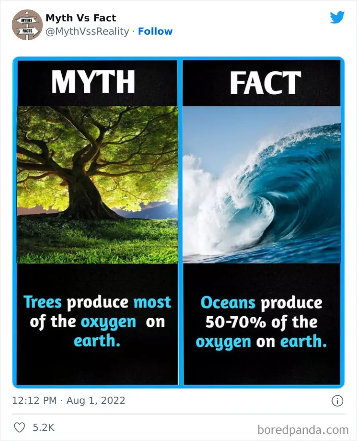 “Boost Your Knowledge”: 50 “Facts” That Are Actually Not True, Shared By This Twitter Account