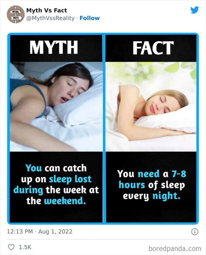 “Boost Your Knowledge”: 50 “Facts” That Are Actually Not True, Shared By This Twitter Account
