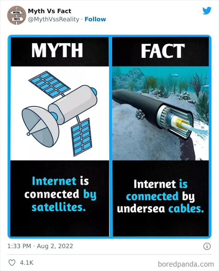 “Boost Your Knowledge”: 50 “Facts” That Are Actually Not True, Shared By This Twitter Account