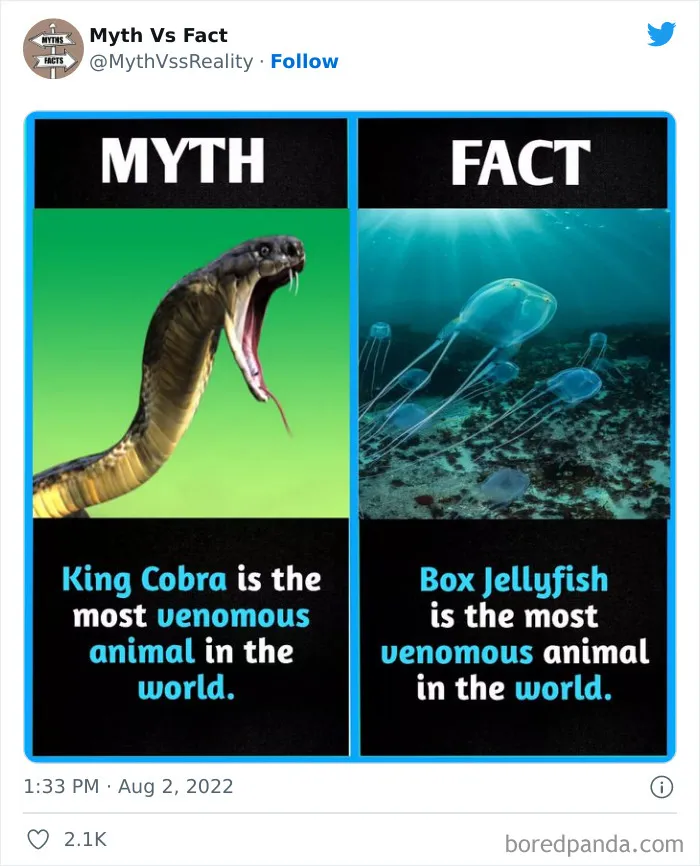 “Boost Your Knowledge”: 50 “Facts” That Are Actually Not True, Shared By This Twitter Account