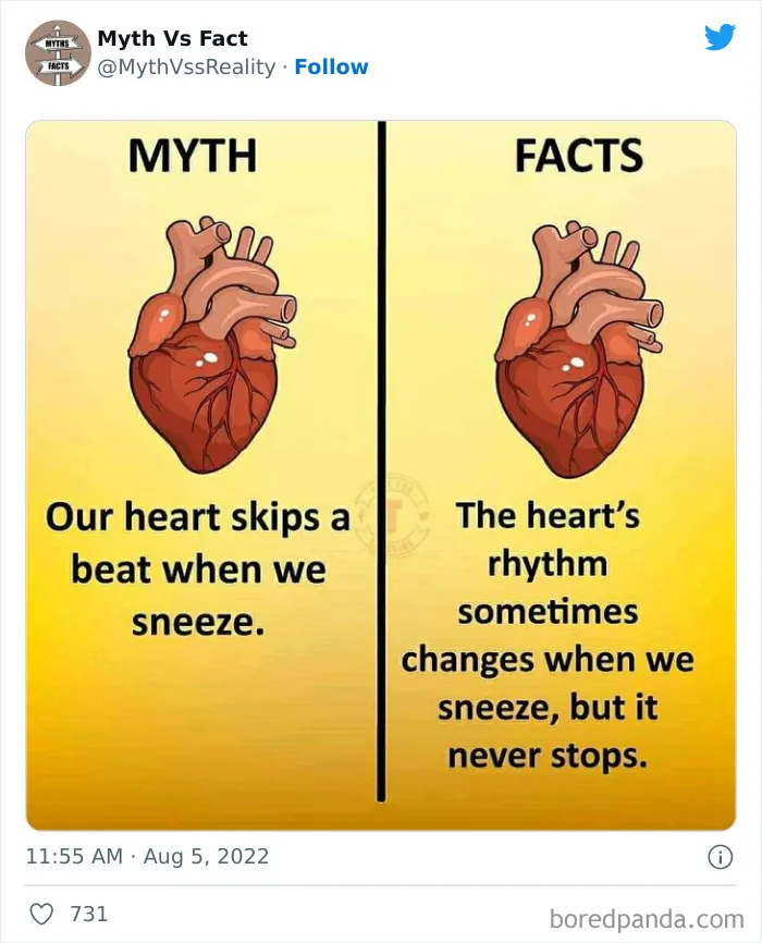 “Boost Your Knowledge”: 50 “Facts” That Are Actually Not True, Shared By This Twitter Account
