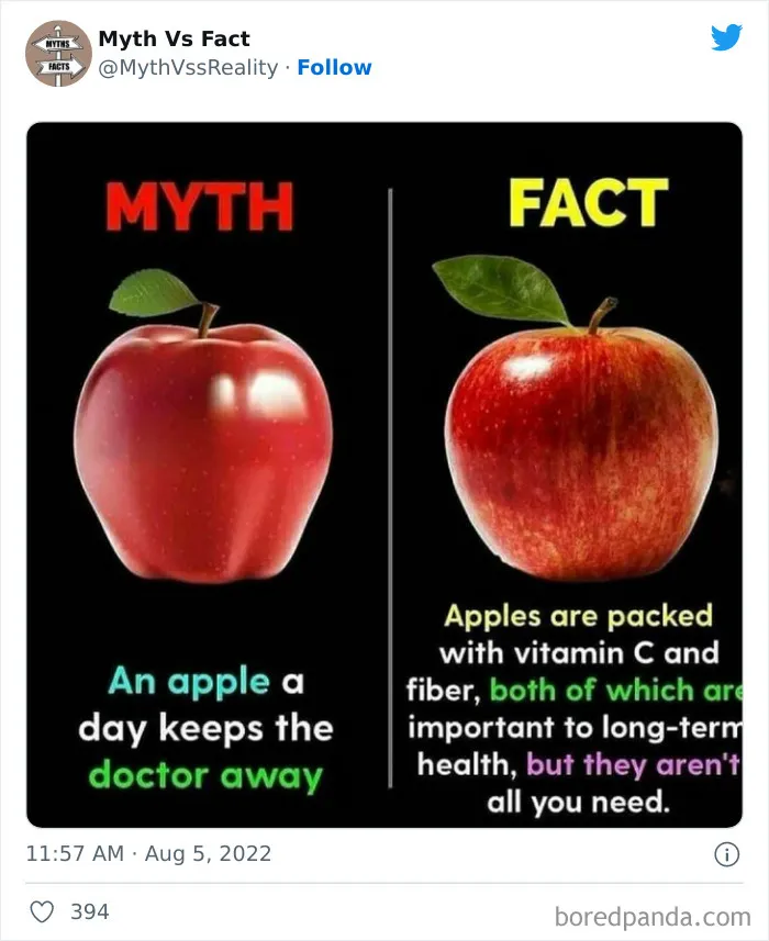 “Boost Your Knowledge”: 50 “Facts” That Are Actually Not True, Shared By This Twitter Account