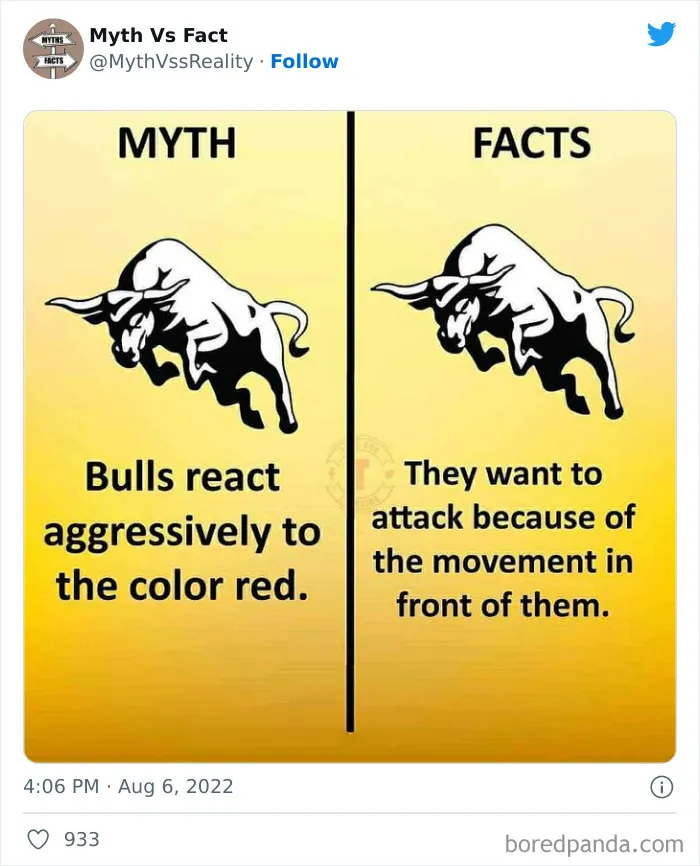 “Boost Your Knowledge”: 50 “Facts” That Are Actually Not True, Shared By This Twitter Account