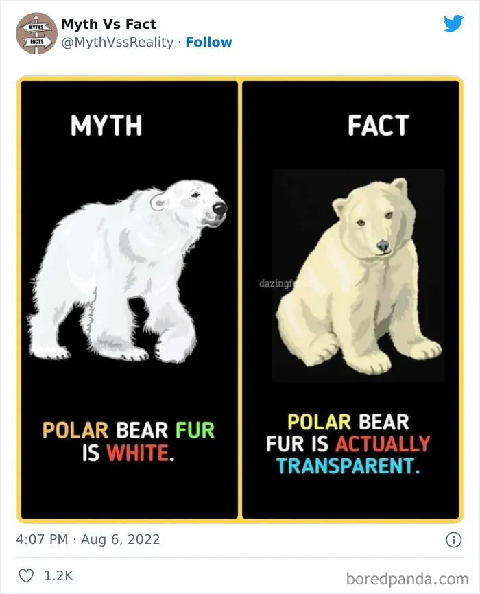 “Boost Your Knowledge”: 50 “Facts” That Are Actually Not True, Shared By This Twitter Account