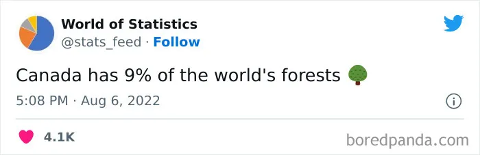 "85% Of Women Wear The Wrong Bra Size": 50 Wild Statistics That Are As Random As They Are Interesting, As Shared On This Twitter Page