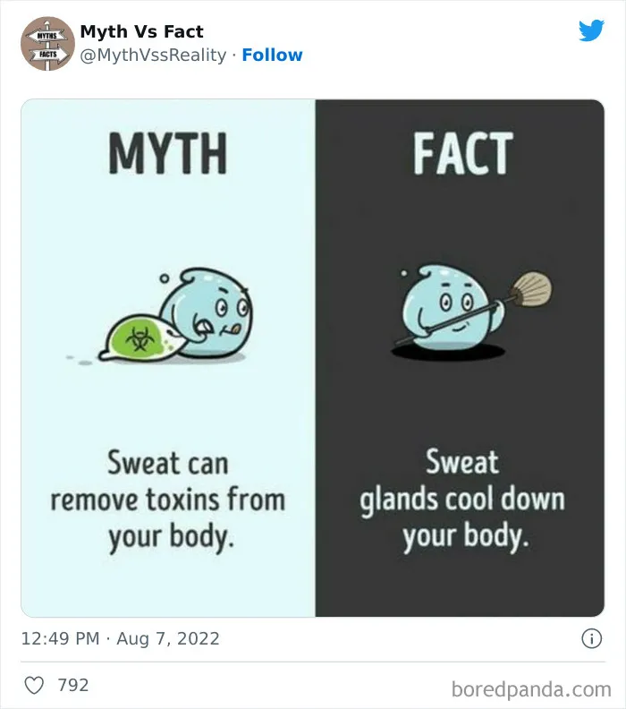 “Boost Your Knowledge”: 50 “Facts” That Are Actually Not True, Shared By This Twitter Account