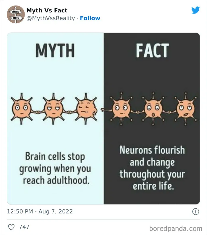 “Boost Your Knowledge”: 50 “Facts” That Are Actually Not True, Shared By This Twitter Account