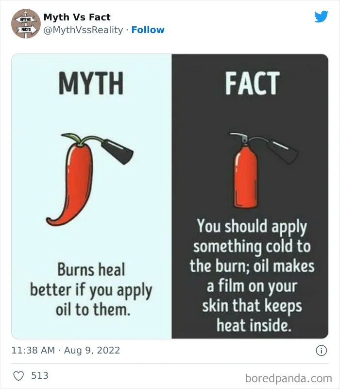 “Boost Your Knowledge”: 50 “Facts” That Are Actually Not True, Shared By This Twitter Account