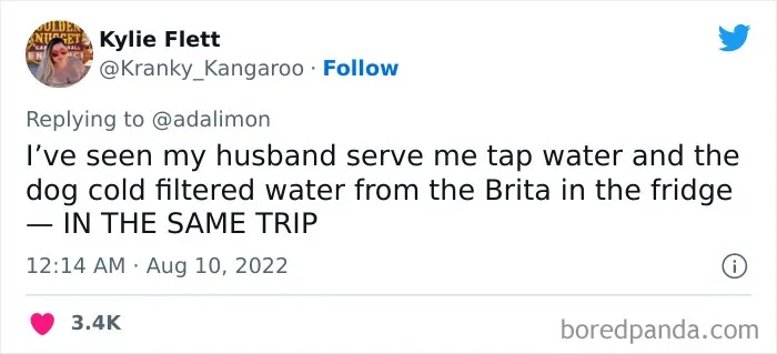 People Are Sharing Embarrassing Moments When They Thought Someone Was Speaking To Them Instead Of Their Pet, And Here Are 29 Of The Funniest Ones