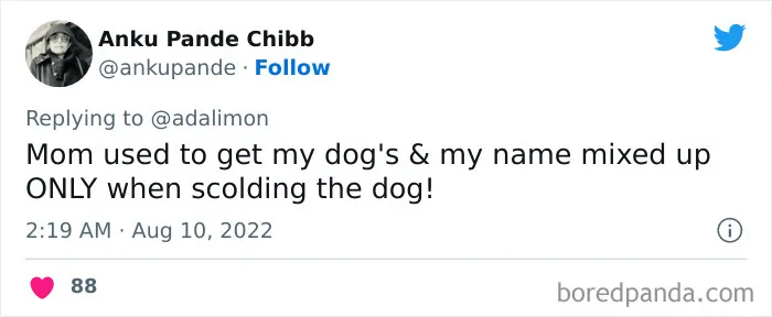 People Are Sharing Embarrassing Moments When They Thought Someone Was Speaking To Them Instead Of Their Pet, And Here Are 29 Of The Funniest Ones