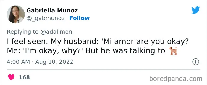 People Are Sharing Embarrassing Moments When They Thought Someone Was Speaking To Them Instead Of Their Pet, And Here Are 29 Of The Funniest Ones
