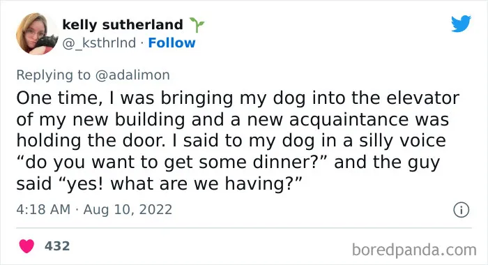 People Are Sharing Embarrassing Moments When They Thought Someone Was Speaking To Them Instead Of Their Pet, And Here Are 29 Of The Funniest Ones