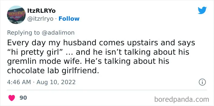 People Are Sharing Embarrassing Moments When They Thought Someone Was Speaking To Them Instead Of Their Pet, And Here Are 29 Of The Funniest Ones