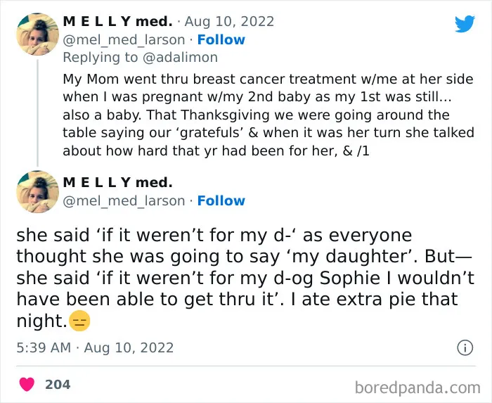 People Are Sharing Embarrassing Moments When They Thought Someone Was Speaking To Them Instead Of Their Pet, And Here Are 29 Of The Funniest Ones