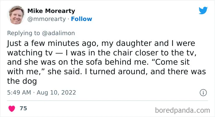 People Are Sharing Embarrassing Moments When They Thought Someone Was Speaking To Them Instead Of Their Pet, And Here Are 29 Of The Funniest Ones