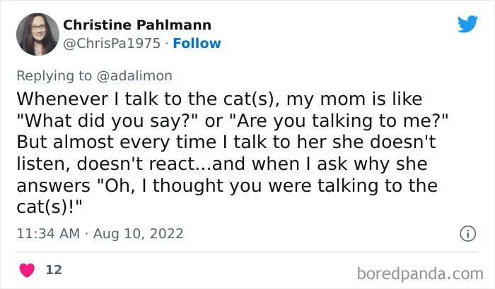 People Are Sharing Embarrassing Moments When They Thought Someone Was Speaking To Them Instead Of Their Pet, And Here Are 29 Of The Funniest Ones