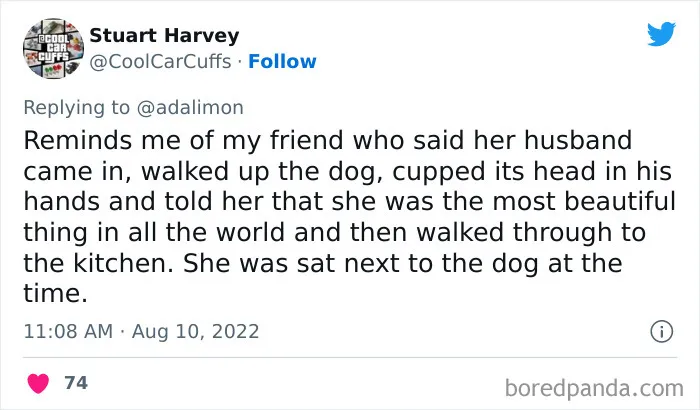 People Are Sharing Embarrassing Moments When They Thought Someone Was Speaking To Them Instead Of Their Pet, And Here Are 29 Of The Funniest Ones