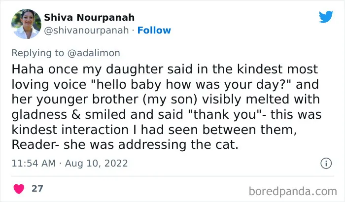 People Are Sharing Embarrassing Moments When They Thought Someone Was Speaking To Them Instead Of Their Pet, And Here Are 29 Of The Funniest Ones