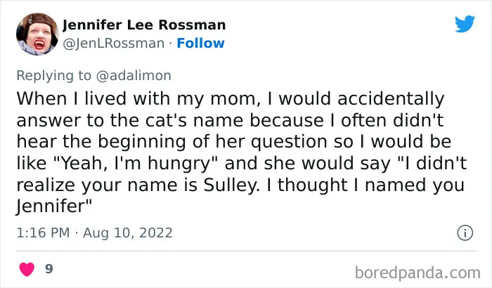 People Are Sharing Embarrassing Moments When They Thought Someone Was Speaking To Them Instead Of Their Pet, And Here Are 29 Of The Funniest Ones