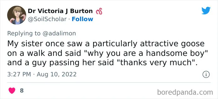 People Are Sharing Embarrassing Moments When They Thought Someone Was Speaking To Them Instead Of Their Pet, And Here Are 29 Of The Funniest Ones