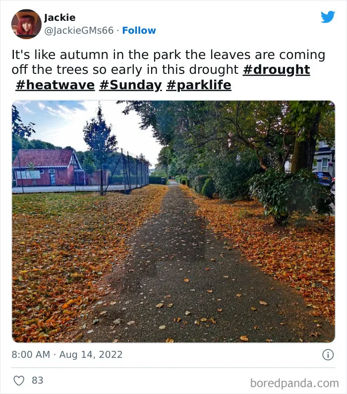 Early Autumn
