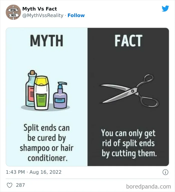 “Boost Your Knowledge”: 50 “Facts” That Are Actually Not True, Shared By This Twitter Account