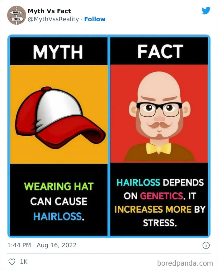 “Boost Your Knowledge”: 50 “Facts” That Are Actually Not True, Shared By This Twitter Account