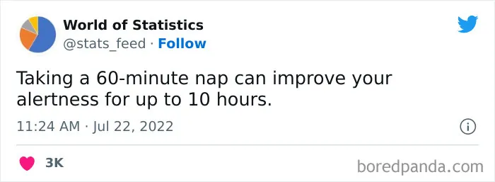 "85% Of Women Wear The Wrong Bra Size": 50 Wild Statistics That Are As Random As They Are Interesting, As Shared On This Twitter Page
