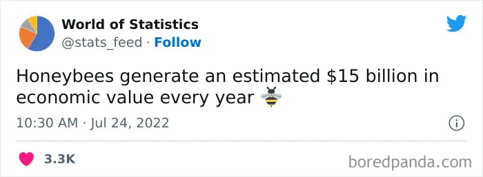 "85% Of Women Wear The Wrong Bra Size": 50 Wild Statistics That Are As Random As They Are Interesting, As Shared On This Twitter Page