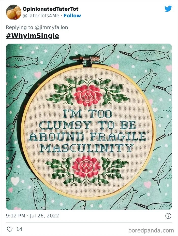 Jimmy Fallon Asks People Why They Are Still Single, And People Give Their Funny And Weird Reasons (50 New Tweets)