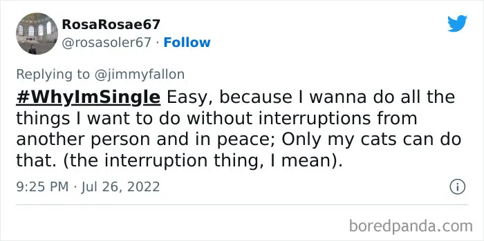 Jimmy Fallon Asks People Why They Are Still Single, And People Give Their Funny And Weird Reasons (50 New Tweets)