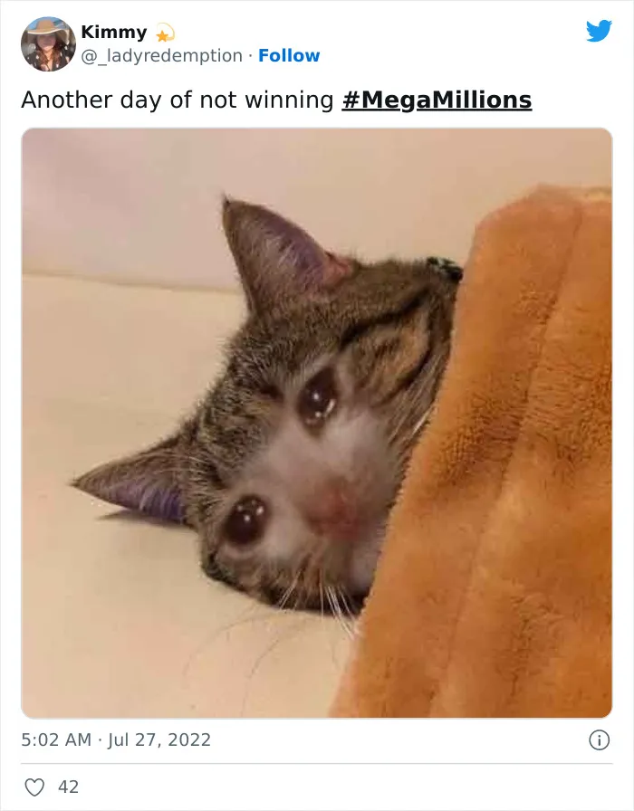 Someone In Illinois Has Won The $1.337 Billion Mega Millions Jackpot Prize, And Here Are The Best Twitter Reactions (30 Tweets)