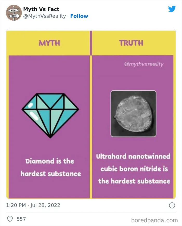 “Boost Your Knowledge”: 50 “Facts” That Are Actually Not True, Shared By This Twitter Account