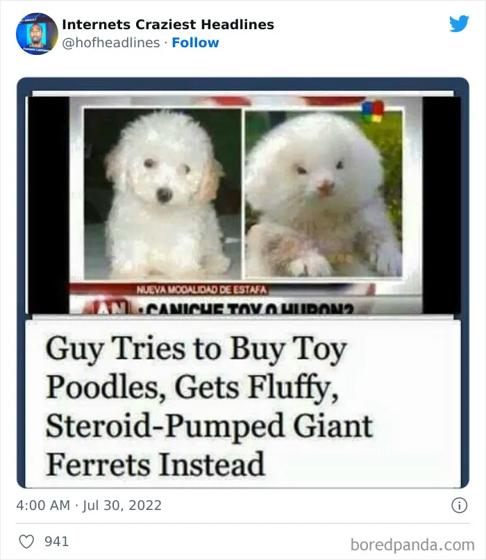This Twitter Page Collects 50 Of The Most Ridiculous News Headlines Ever Printed Or Shared (New Pics)