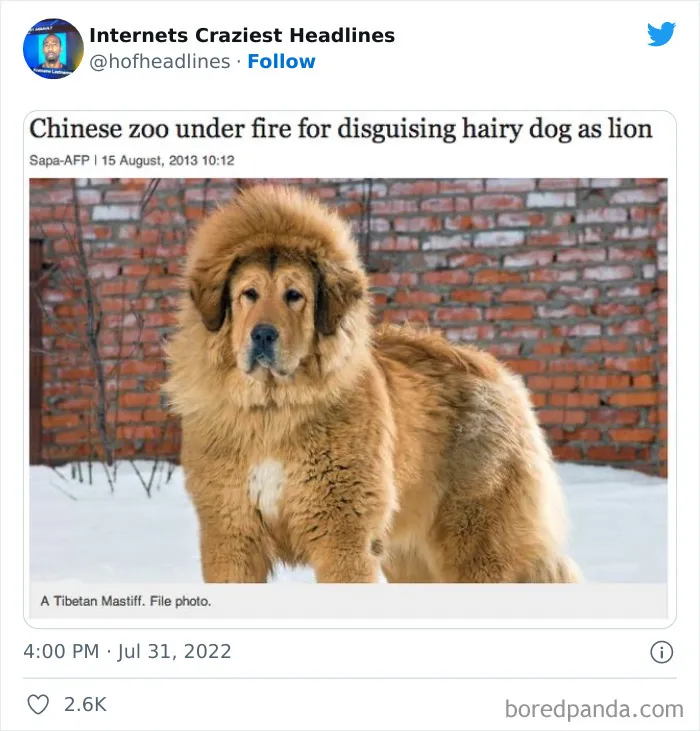 This Twitter Page Collects 50 Of The Most Ridiculous News Headlines Ever Printed Or Shared (New Pics)