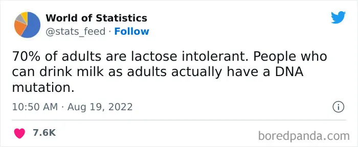 "85% Of Women Wear The Wrong Bra Size": 50 Wild Statistics That Are As Random As They Are Interesting, As Shared On This Twitter Page