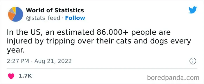 "85% Of Women Wear The Wrong Bra Size": 50 Wild Statistics That Are As Random As They Are Interesting, As Shared On This Twitter Page