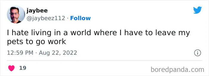 50 Times People Didn't Hold Back And Were Brutally Honest About Their Work On Twitter
