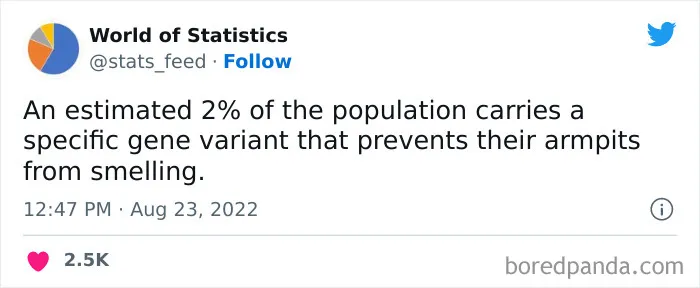"85% Of Women Wear The Wrong Bra Size": 50 Wild Statistics That Are As Random As They Are Interesting, As Shared On This Twitter Page
