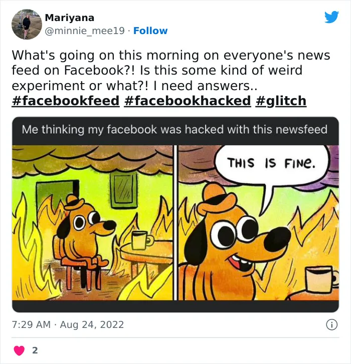 Newest Facebook Feed Glitch Has The Internet In Stitches (35 Reactions)