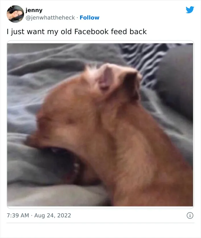 Newest Facebook Feed Glitch Has The Internet In Stitches (35 Reactions)
