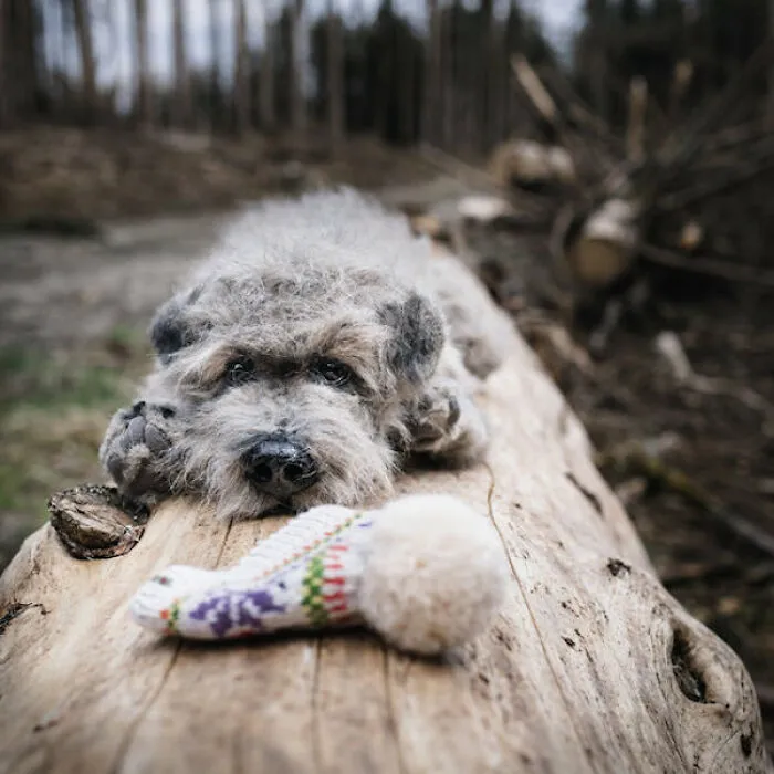 I'm Making Animal Dolls Out Of Faux Fur, And It's Both Ethical And Cute (32 Pics)