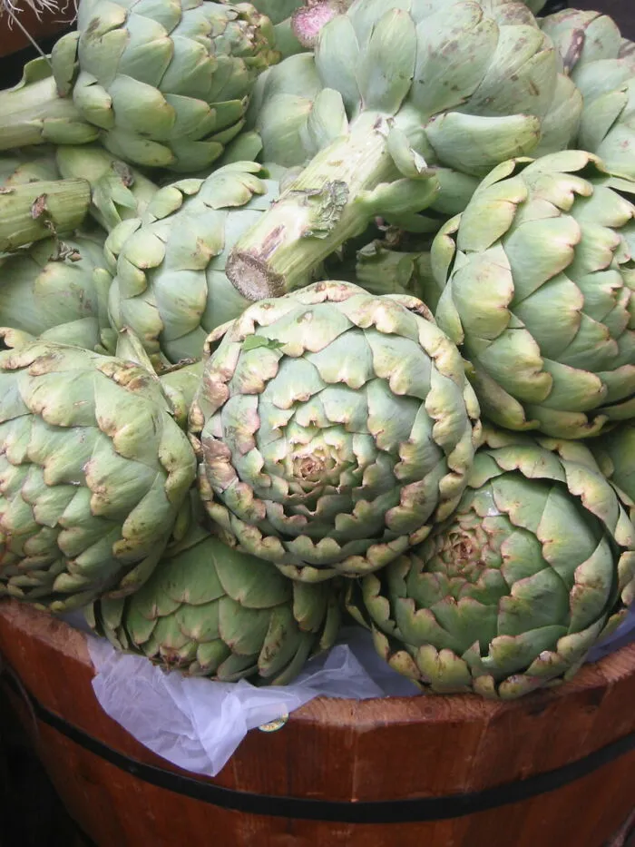 Eating The Artichoke With All Its Leaves