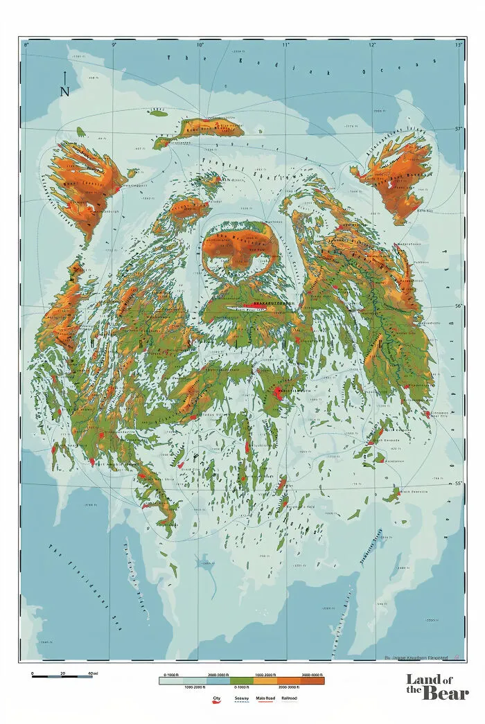 Ursidae - Land Of The Bear