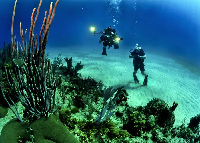 Divers Reveal 50 Disturbing Discoveries Underwater They Will Probably Never Be Able To Explain