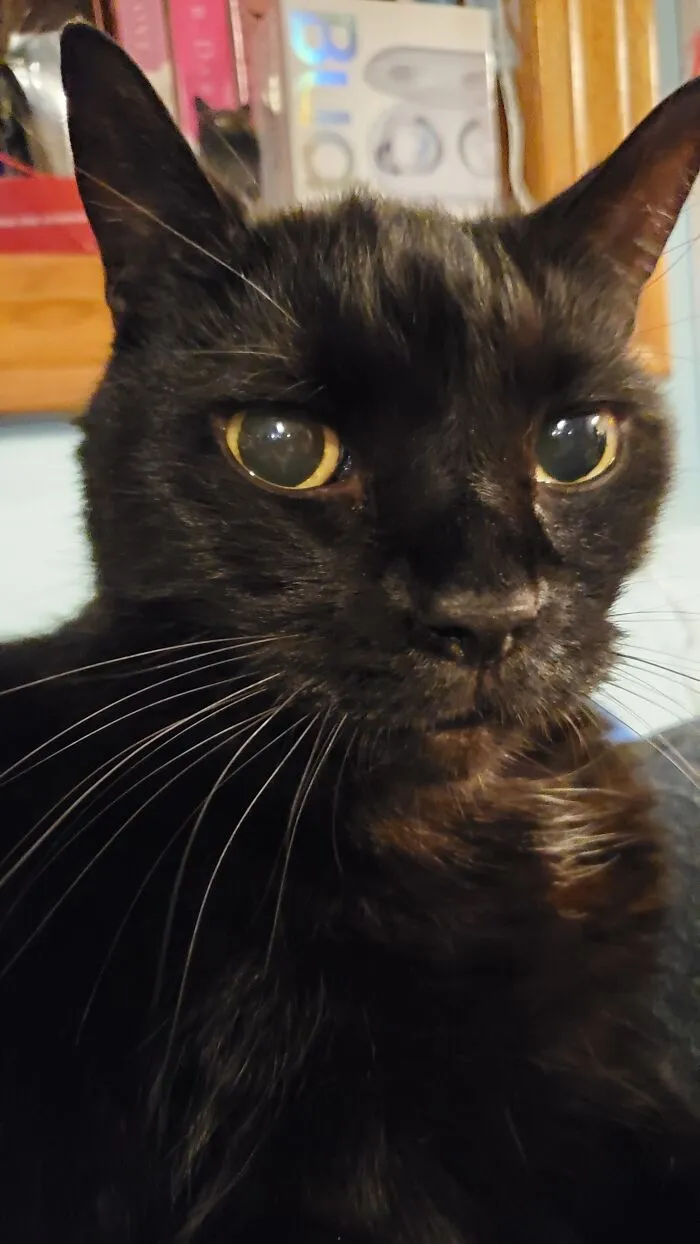 Salem