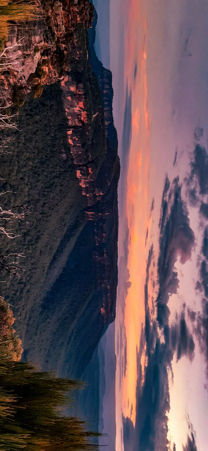 B M's Nsw