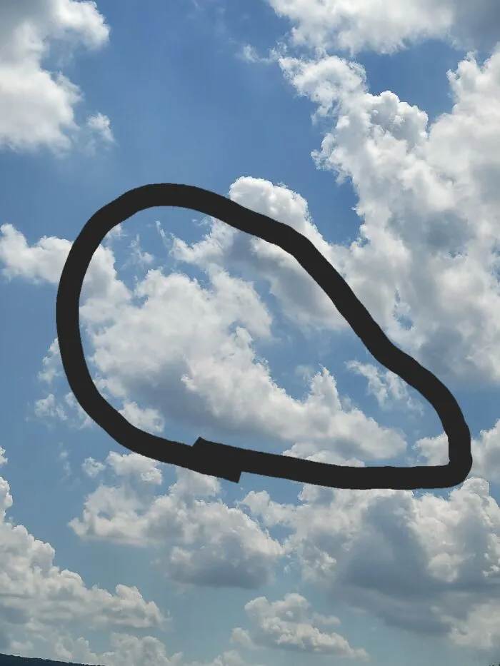 Looks Like A... Whale It Is Also Over A River